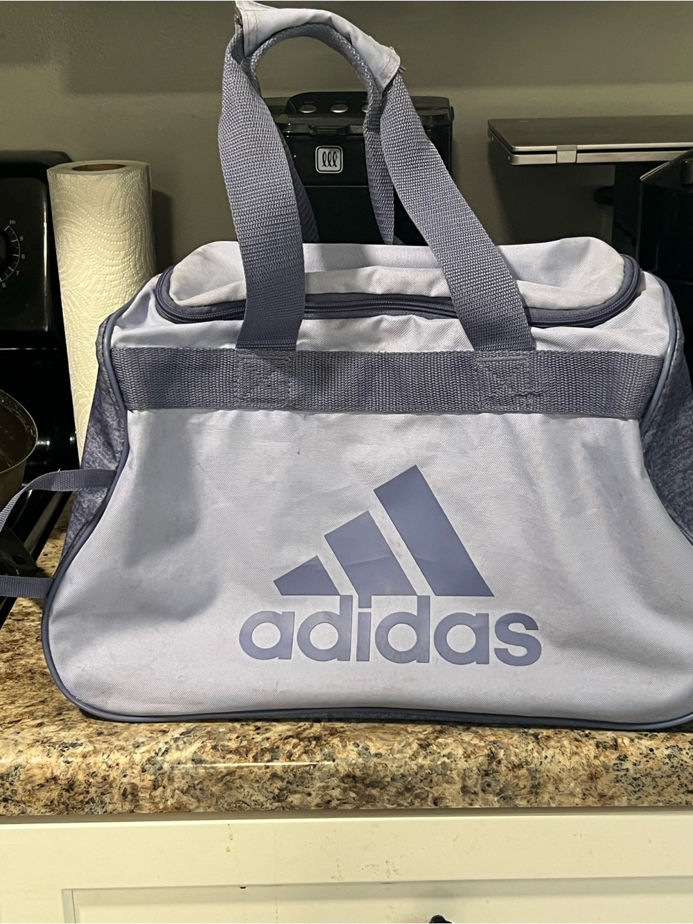 adidas Light Gray and Slate Blue Duffel Bag